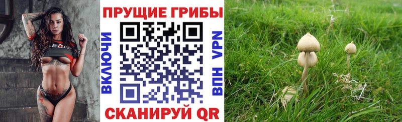 Псилоцибиновые грибы ЛСД  Гай 